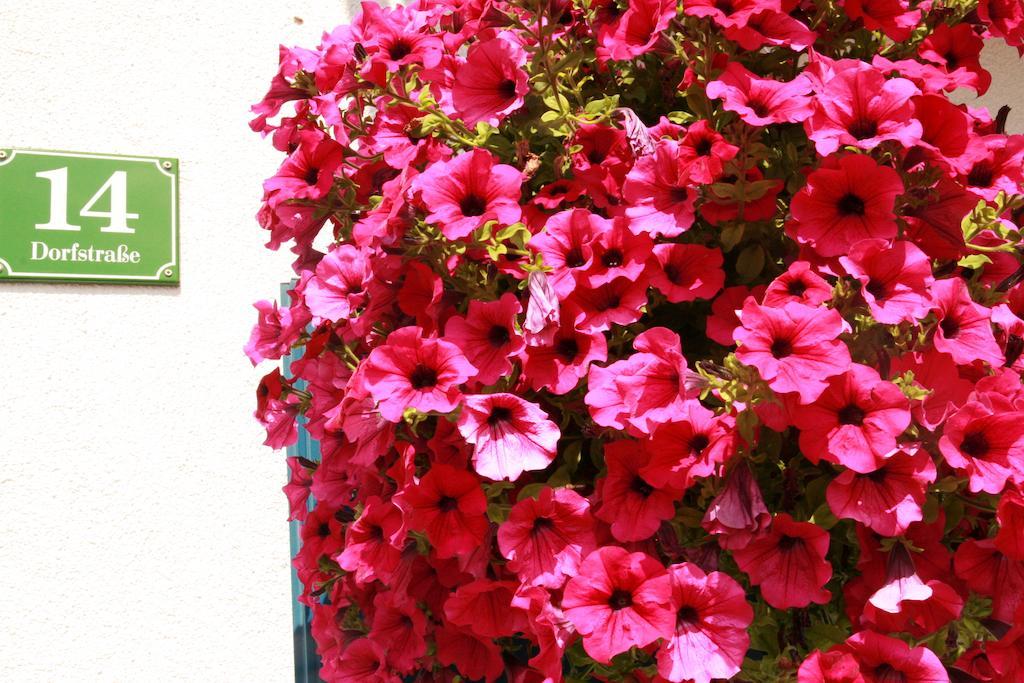 Das Edelweiss Graen Exterior photo